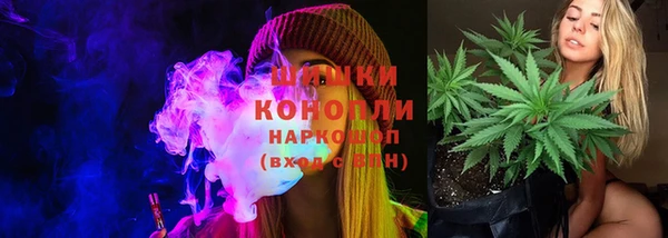 бошки Алексин