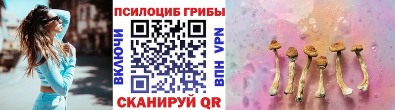 Псилоцибиновые грибы прущие грибы  Ельня 